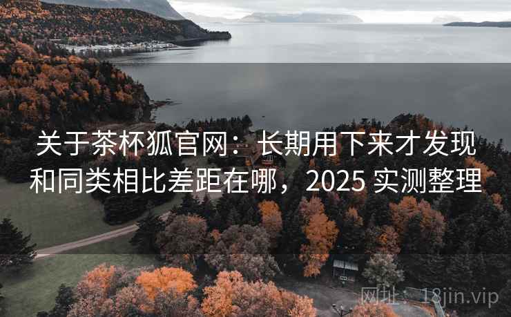 关于茶杯狐官网:长期用下来才发现和同类相比差距在哪,2025 实测整理 关于茶杯狐官网:长期用下来才发现和同类相比差距在哪,2025 实测整理