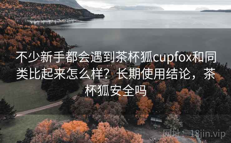 不少新手都会遇到茶杯狐cupfox和同类比起来怎么样？长期使用结论，茶杯狐安全吗
