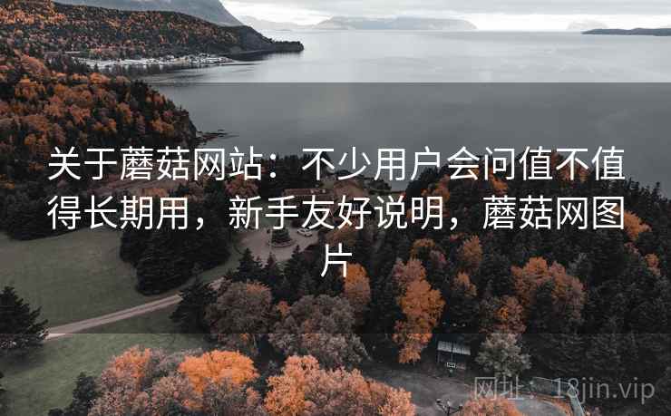 关于蘑菇网站：不少用户会问值不值得长期用，新手友好说明，蘑菇网图片