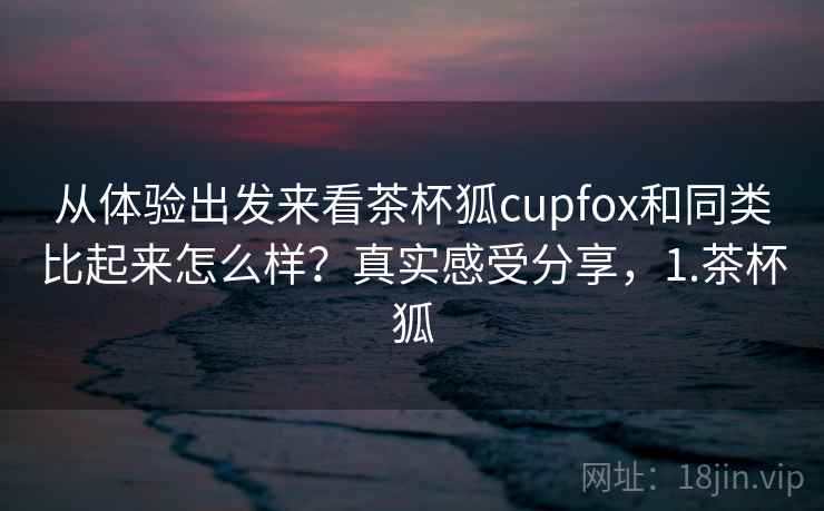 从体验出发来看茶杯狐cupfox和同类比起来怎么样？真实感受分享，1.茶杯狐