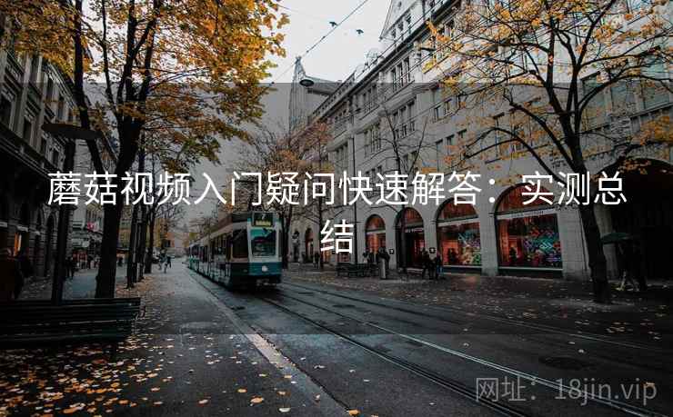 蘑菇视频入门疑问快速解答：实测总结