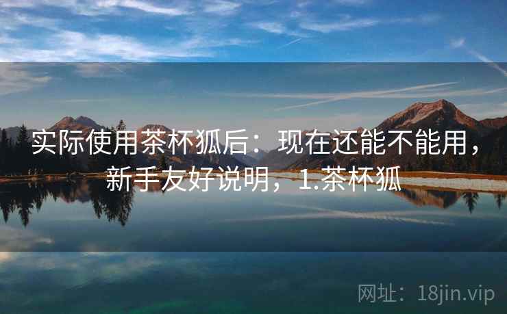 实际使用茶杯狐后：现在还能不能用，新手友好说明，1.茶杯狐