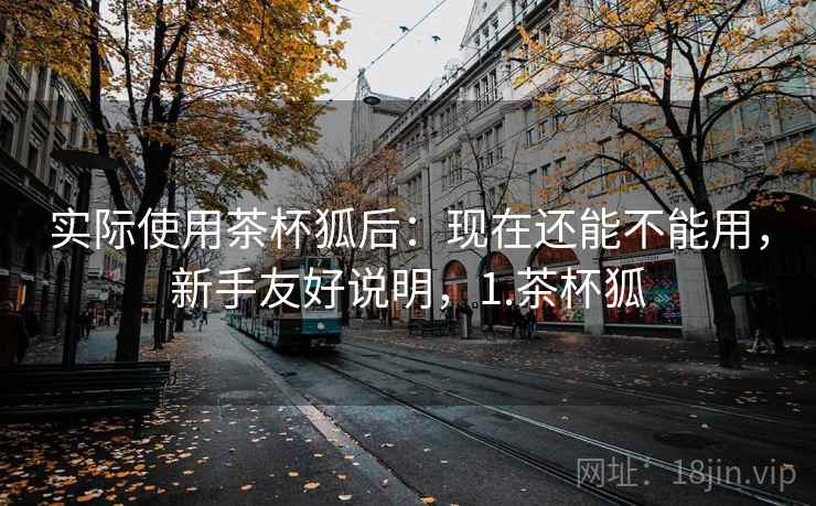 实际使用茶杯狐后：现在还能不能用，新手友好说明，1.茶杯狐