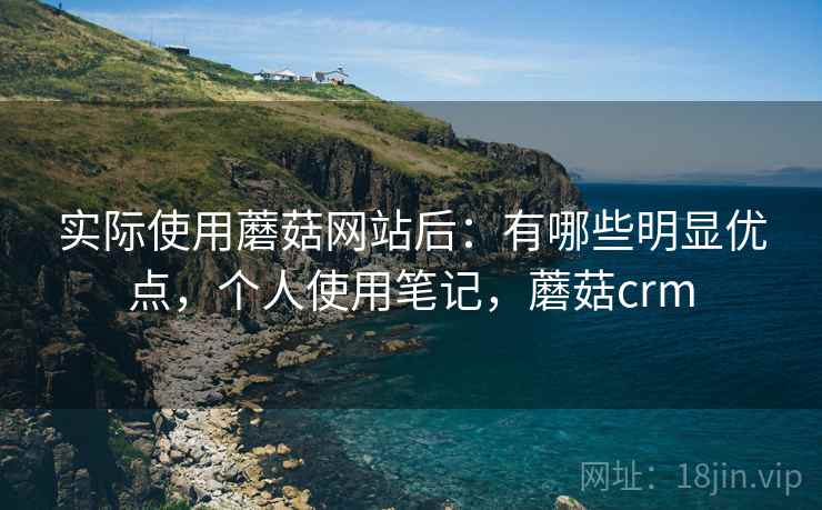 实际使用蘑菇网站后：有哪些明显优点，个人使用笔记，蘑菇crm