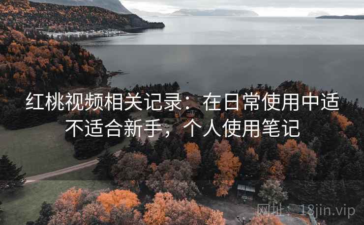 红桃视频相关记录：在日常使用中适不适合新手，个人使用笔记